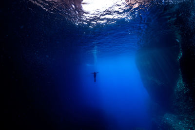 Person swimming in sea