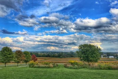 Scenic view of field against clear sky