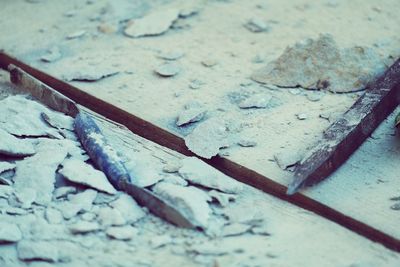 High angle view of ice cream on wood