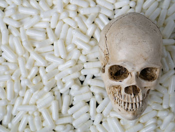 Close-up of human skull
