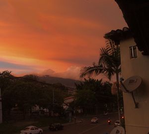 Trees and houses against cloudy sky during sunset