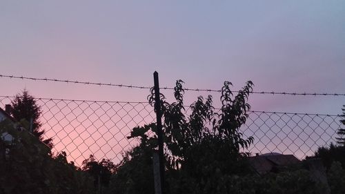 Low angle view of silhouette trees against clear sky