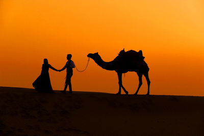 Silhouette man and woman with camel at desert against sky during sunset