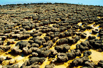 Aerial view of rocks on land