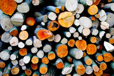 Full frame shot of logs in forest