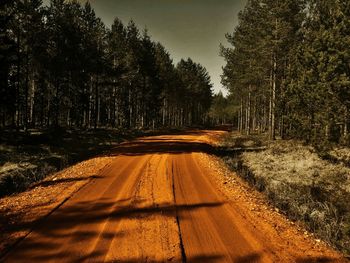 Road passing through trees