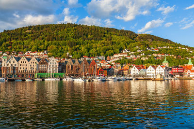 View at the city bergen in norway a sunny summer evening