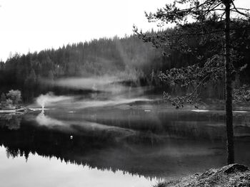 Scenic view of lake in forest against sky