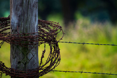 Close-up of barbed wire wrapped on wooden pole