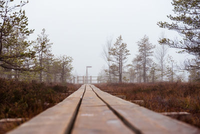 Surface level of elevated walkway against sky at kemeri national park