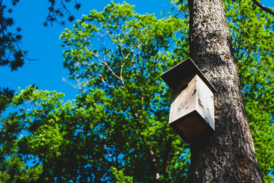 Low angle view of bird house on tree trunk