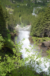 Scenic view of waterfall amidst trees in forest