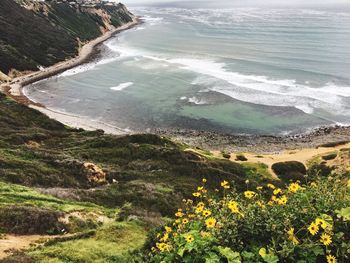 Scenic view of beach