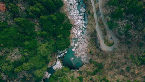 High angle view of road amidst trees in forest