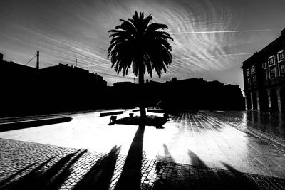Silhouette of palm trees against sky at sunset