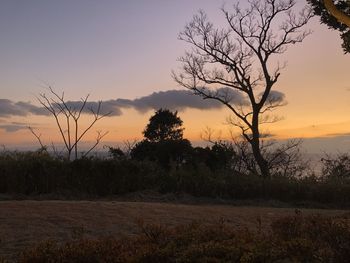 Silhouette trees on field against sky during sunset