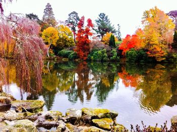 Reflection of trees in lake during autumn