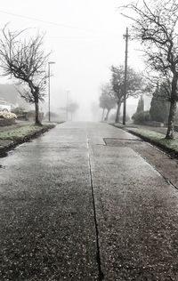 Wet road by trees against sky