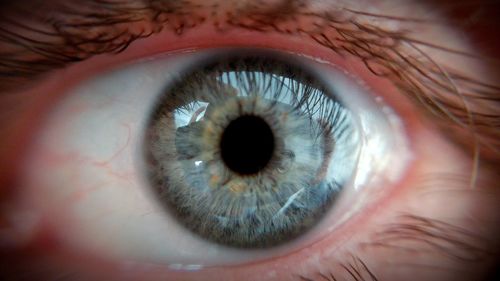 Close-up portrait of human eye