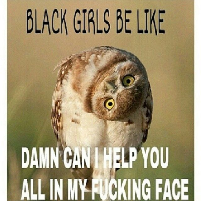 Blackgirlsbelike