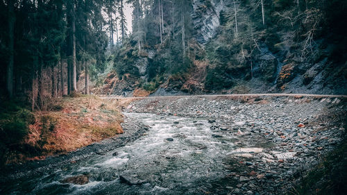 Blurred motion of river amidst trees in forest
