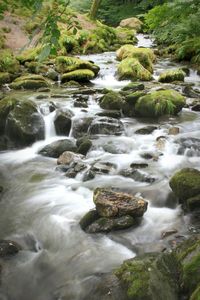 Scenic view of river flowing through rocks
