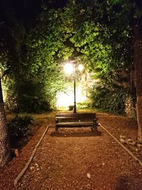 Illuminated street light at night