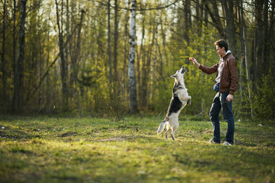 View of a dog in the forest