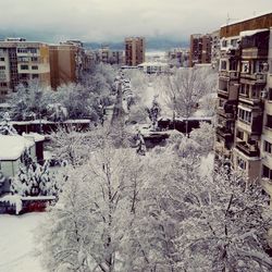 Buildings in city