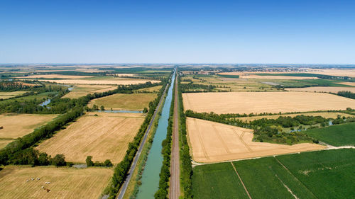 Scenic view of agricultural field against clear sky