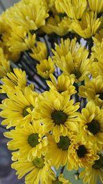 Close-up of yellow flowers blooming outdoors