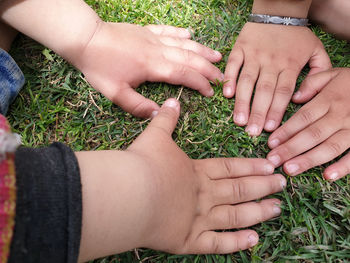 Cropped image of people on grass