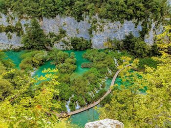 High angle view of lake by trees