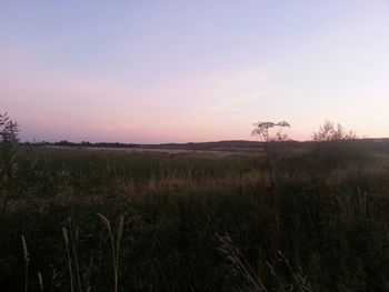 Scenic view of landscape at sunset