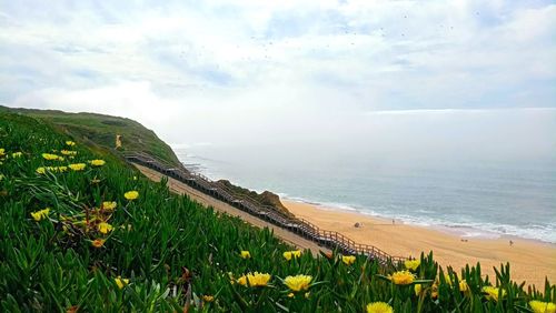 Scenic view of sea against sky