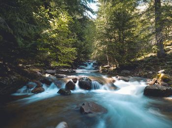 Stream flowing through rocks in forest