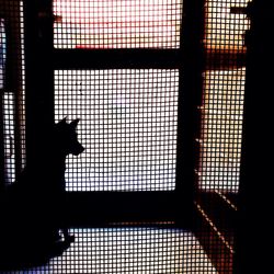 View of window