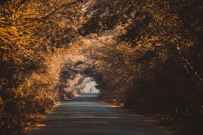 Road amidst trees during autumn