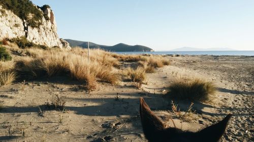 Scenic view of desert against clear sky