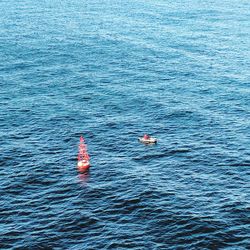 High angle view of swimming in sea