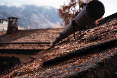 Close-up of wood on roof