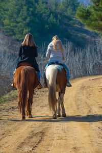 Horse riding horses on land