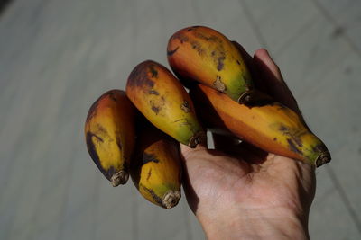 Close-up of hand holding fruit