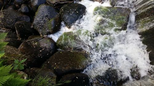 Scenic view of waterfall