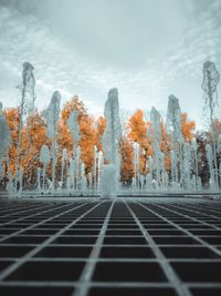 Digital composite image of plants and trees against sky