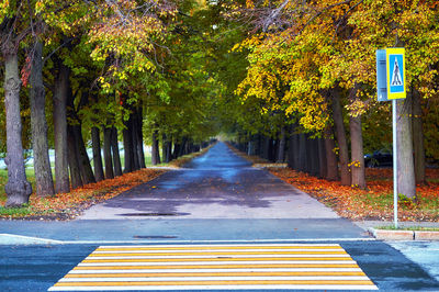 Street amidst trees and plants in city