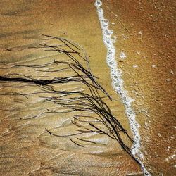 Close up of sea shore