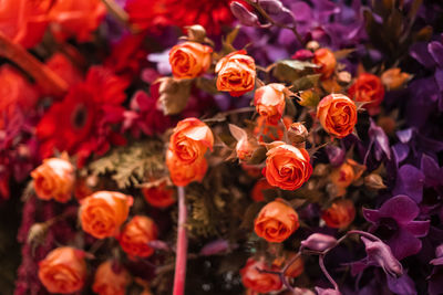 High angle view of flowering plants