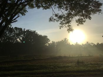 Scenic view of field against sky during sunset