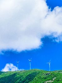 Wind turbines on field